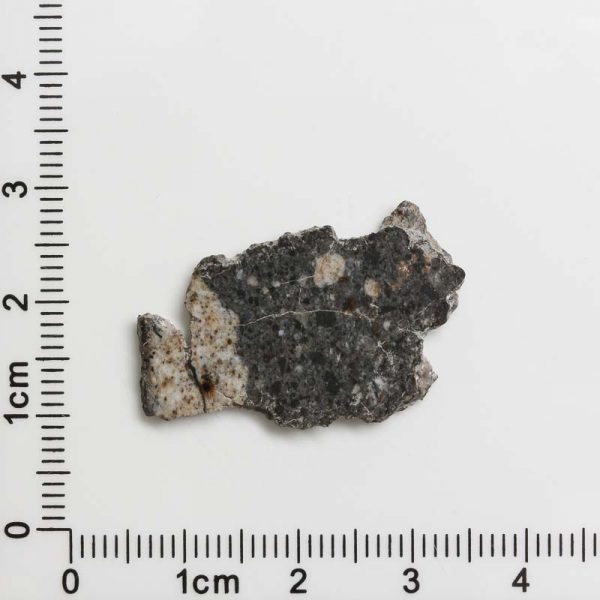 NWA 11788 Lunar Meteorite 1.60g