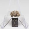 NWA 11901 Meteorite 1.13g End Cut