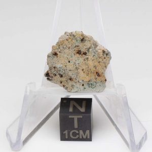 NWA 11901 Meteorite 1.56g