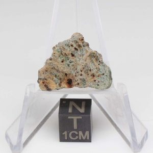 NWA 11901 Meteorite 1.76g