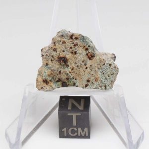 NWA 11901 Meteorite 2.38g