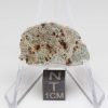 NWA 11901 Meteorite 2.81g