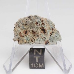 NWA 11901 Meteorite 2.81g