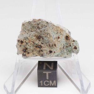 NWA 11901 Meteorite 3.60g