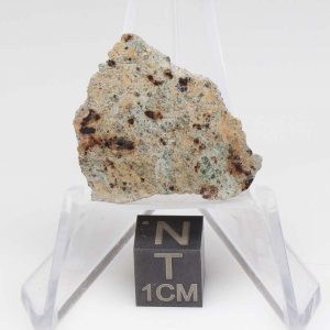 NWA 11901 Meteorite 2.83g