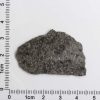 NWA 12269 (Paired) Martian Meteorite 4.37g