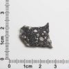 NWA 12593 Lunar Meteorite 1.15g