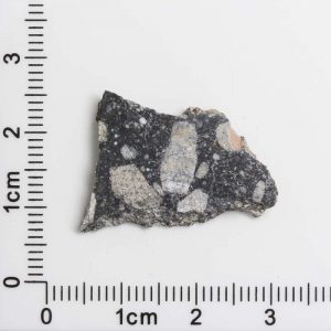 NWA 12593 Lunar Meteorite 1.63g
