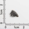 NWA 12593 Lunar Meteorite 0.14g