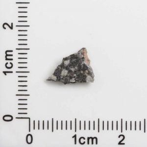 NWA 12593 Lunar Meteorite 0.17g