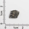 NWA 12593 Lunar Meteorite 0.37g