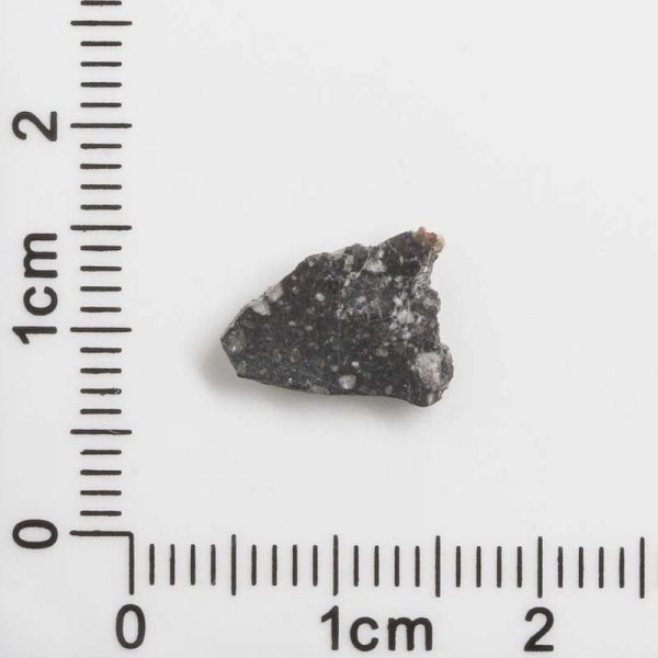 NWA 12593 Lunar Meteorite 0.26g