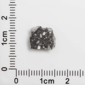 NWA 12593 Lunar Meteorite 0.30g