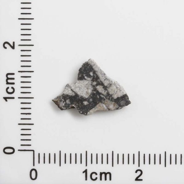 NWA 12593 Lunar Meteorite 0.30g