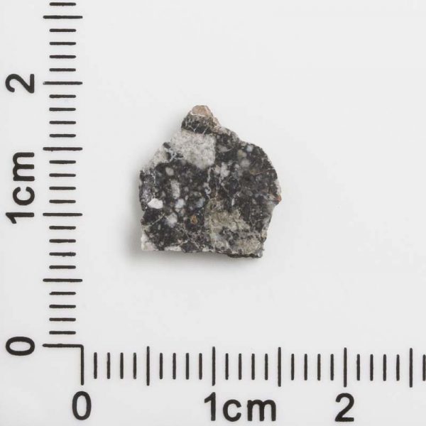 NWA 12593 Lunar Meteorite 0.34g