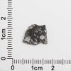 NWA 12593 Lunar Meteorite 0.36g
