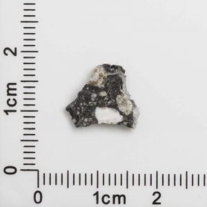 NWA 12593 Lunar Meteorite 0.33g