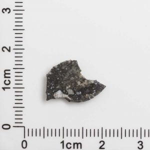 NWA 12593 Lunar Meteorite 0.41g