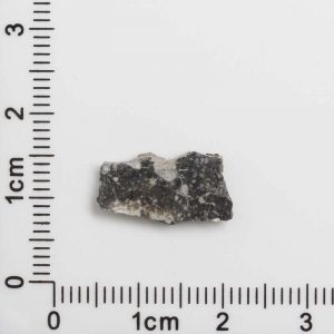 NWA 12593 Lunar Meteorite 0.43g