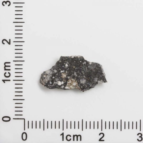 NWA 12593 Lunar Meteorite 0.45g