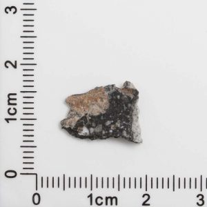 NWA 12593 Lunar Meteorite 0.42g