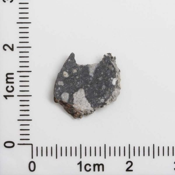 NWA 12593 Lunar Meteorite 0.51g