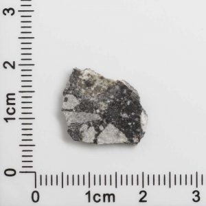 NWA 12593 Lunar Meteorite 0.72g