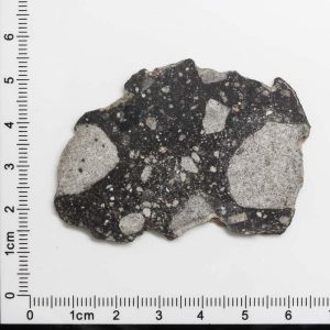 NWA 12593 Lunar Meteorite 8.50g