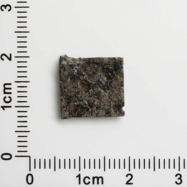NWA 12594 (Paired) Martian Meteorite 1.04g