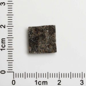 NWA 12594 (Paired) Martian Meteorite 1.02g