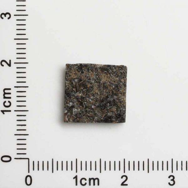 NWA 12594 (Paired) Martian Meteorite 1.09g