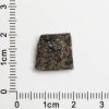 NWA 12594 (Paired) Martian Meteorite 1.10g