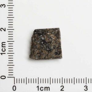 NWA 12594 (Paired) Martian Meteorite 1.10g