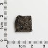 NWA 12594 (Paired) Martian Meteorite 1.12g
