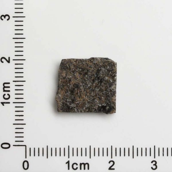 NWA 12594 (Paired) Martian Meteorite 1.14g
