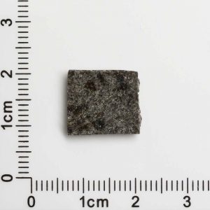 NWA 12594 (Paired) Martian Meteorite 1.17g