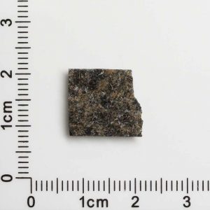 NWA 12594 (Paired) Martian Meteorite 1.15g