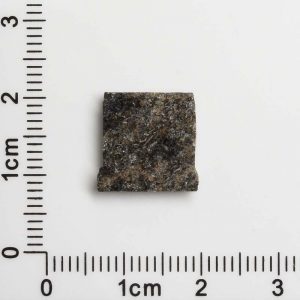 NWA 12594 (Paired) Martian Meteorite 1.05g