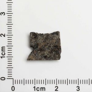 NWA 12594 (Paired) Martian Meteorite 1.15g