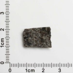 NWA 12594 (Paired) Martian Meteorite 1.33g