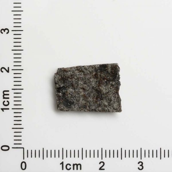 NWA 12594 (Paired) Martian Meteorite 1.33g