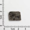 NWA 12594 (Paired) Martian Meteorite 1.40g
