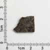 NWA 12594 (Paired) Martian Meteorite 1.20g