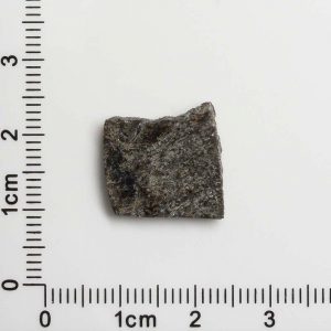 NWA 12594 (Paired) Martian Meteorite 1.41g