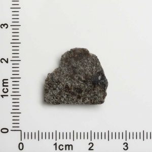 NWA 12594 (Paired) Martian Meteorite 1.30g
