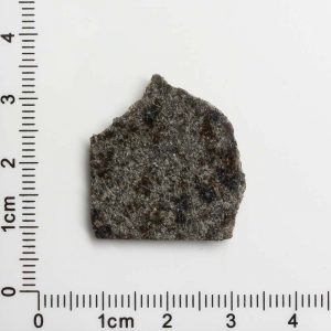 NWA 12594 (Paired) Martian Meteorite 3.09g