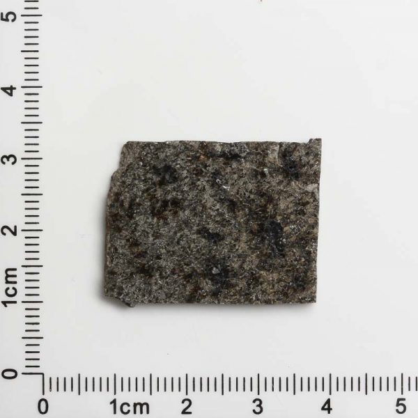 NWA 12594 (Paired) Martian Meteorite 4.64g