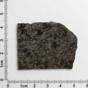 NWA 12594 (Paired) Martian Meteorite 10.04g