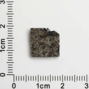 NWA 12594 (Paired) Martian Meteorite 0.90g