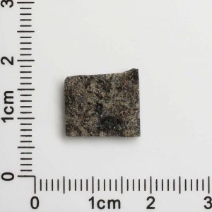 NWA 12594 (Paired) Martian Meteorite 0.97g